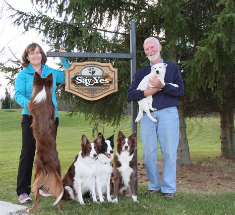 susan garrett dog training|More.